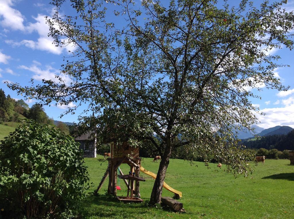Ferienwohnung Strubbauer Urlaub Am Bauernhof Abtenau Exterior foto